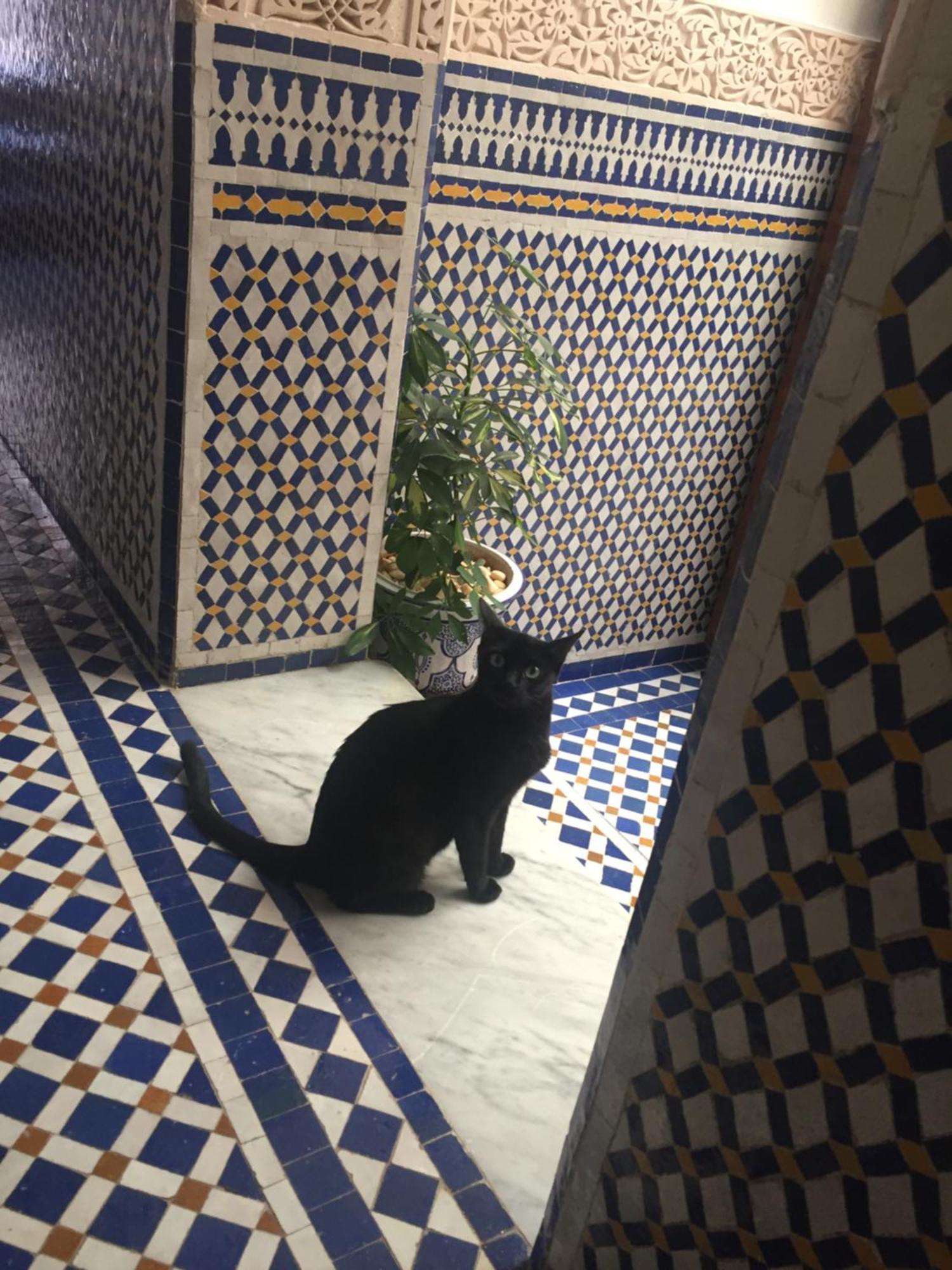 ホテル Dar D'Or フェズ エクステリア 写真